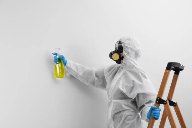 Biohazard Mold Removal in Point Pleasant, WV